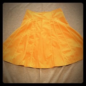 Golden Yellow Waist Skirt